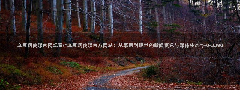 麻豆传媒官网免费看:麻豆啊传媒官网观看(\